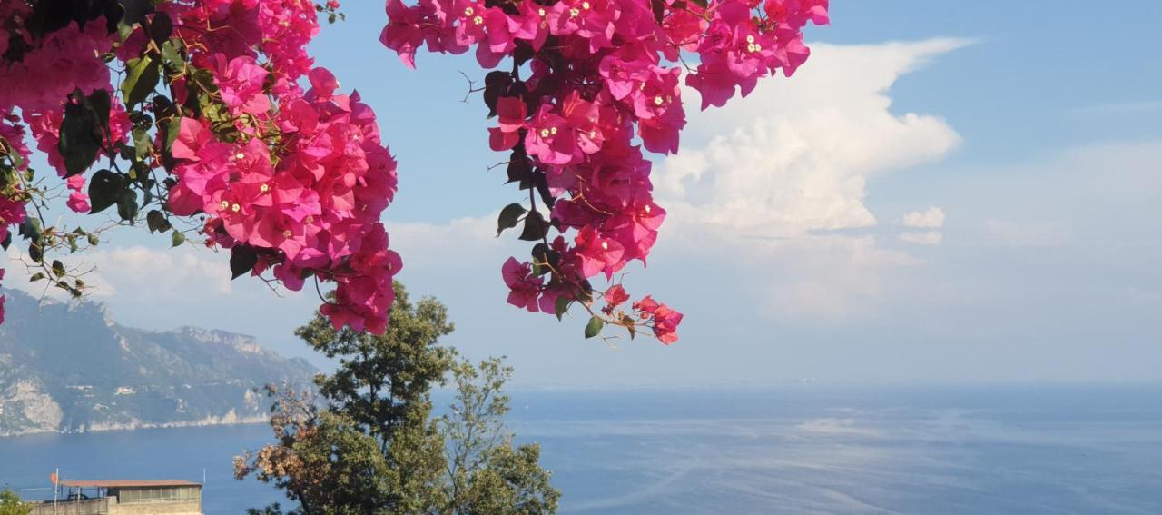 Casa Grazia Amalfi Villa Eksteriør billede